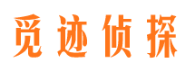 长安出轨调查